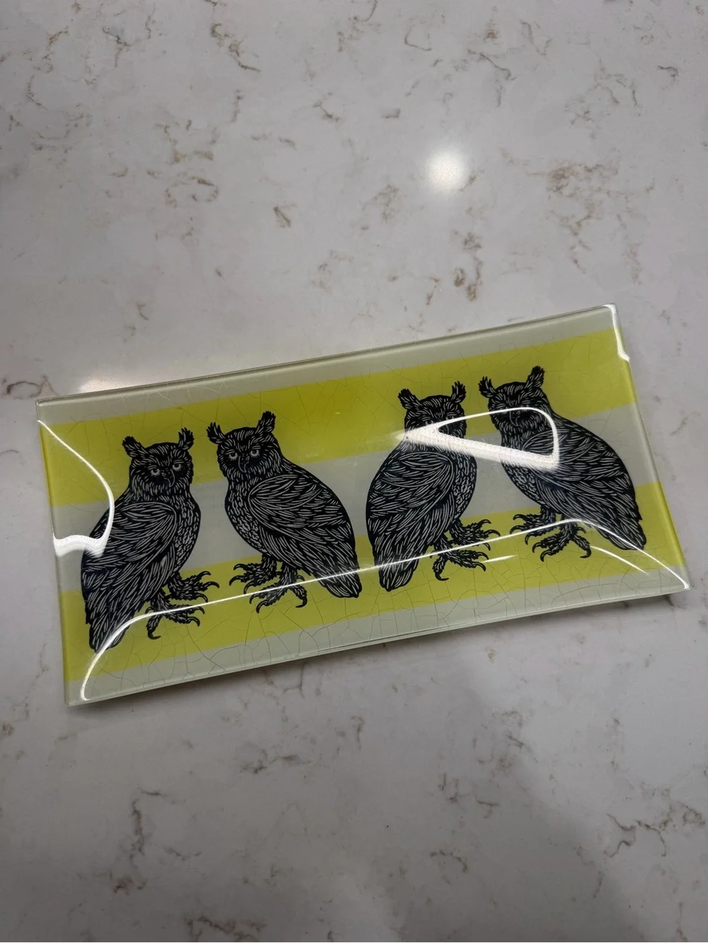 West Elm Patch NYC Owl Decorative Glass Tray